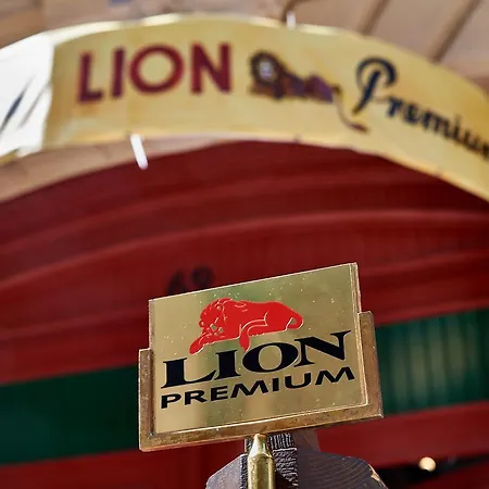 Lion Premium-3